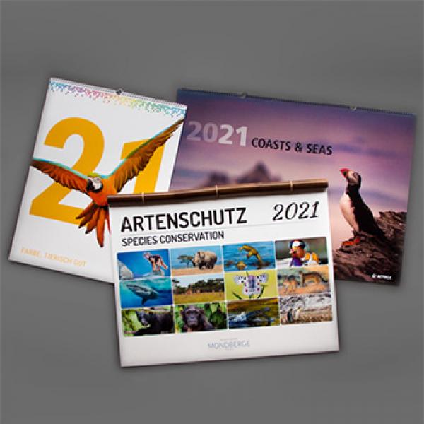 collage_kalender