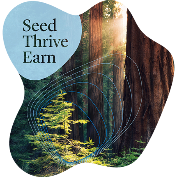 Seed_thrive_earn_Keyvisual_Web_500px