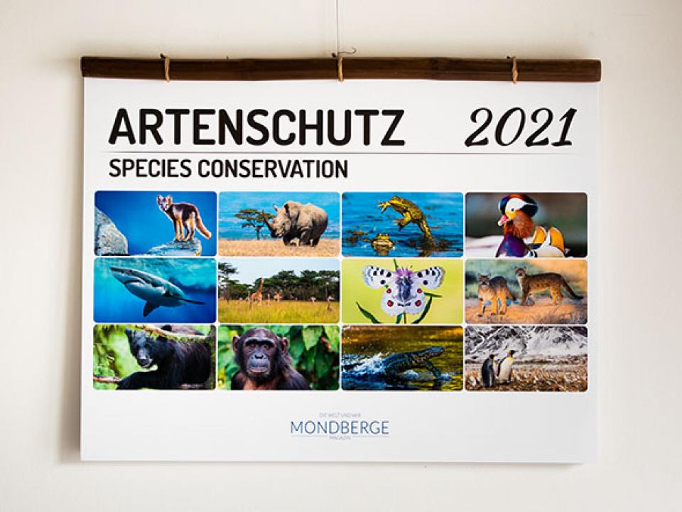 Sappi-Calendar-Species-Conservation